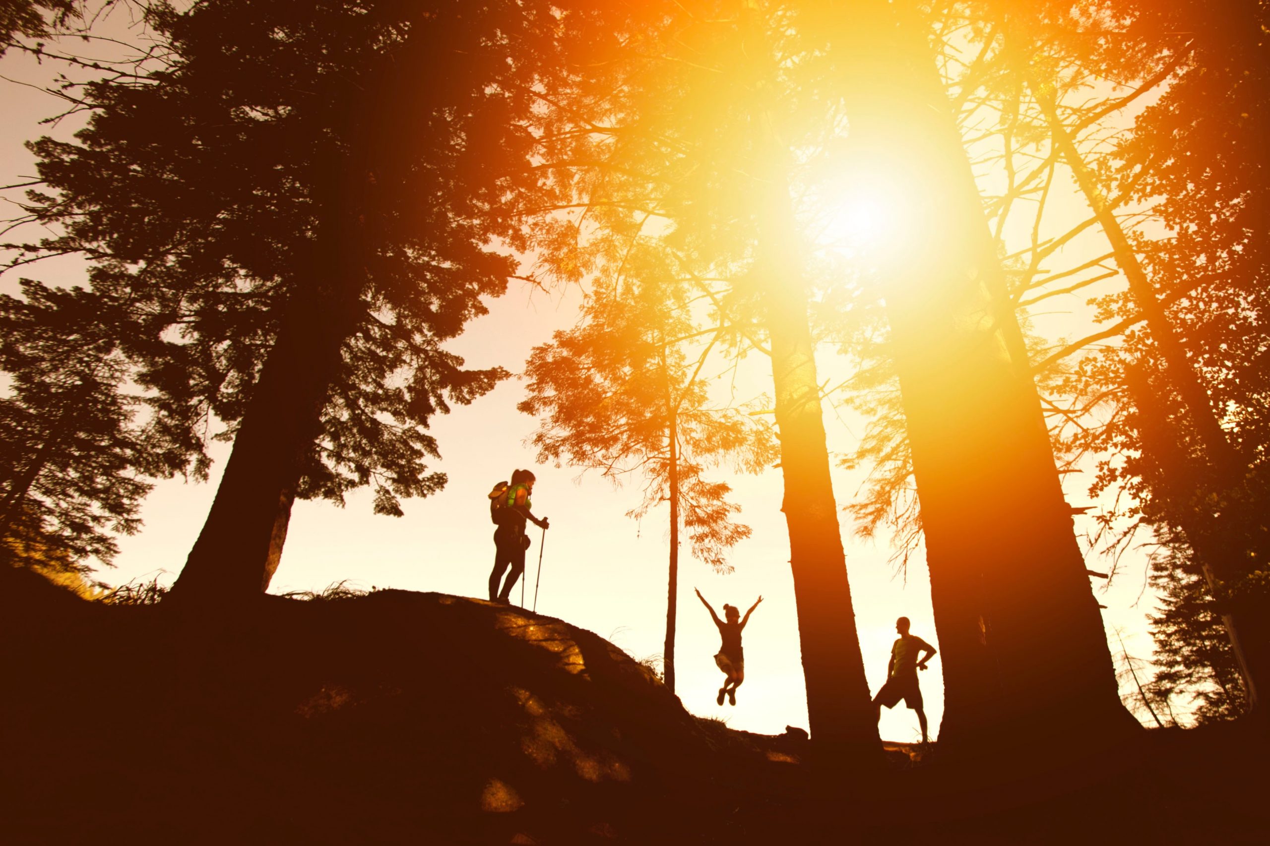 Silohuette of Three People Hiking
