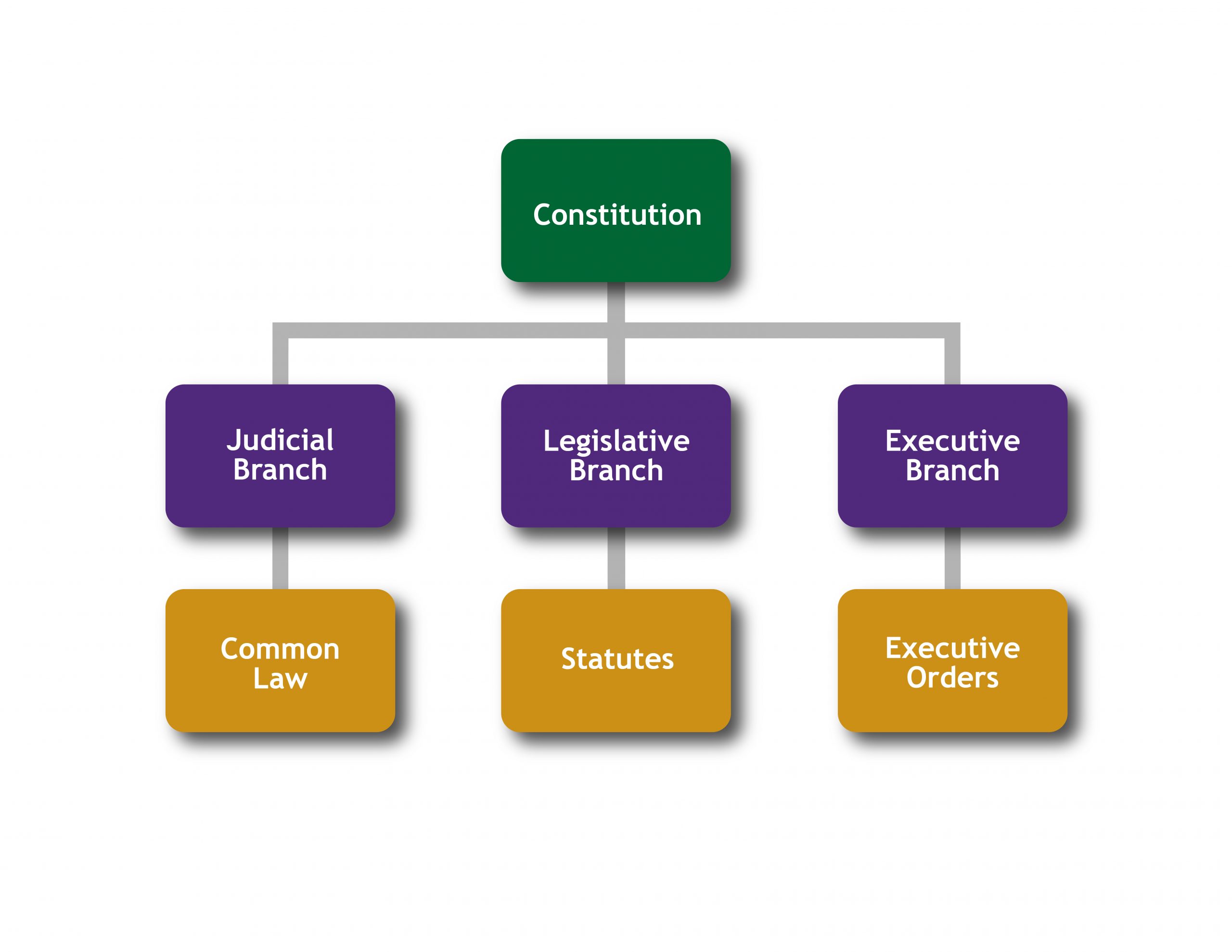 Graph showing the vertical nature domestic law