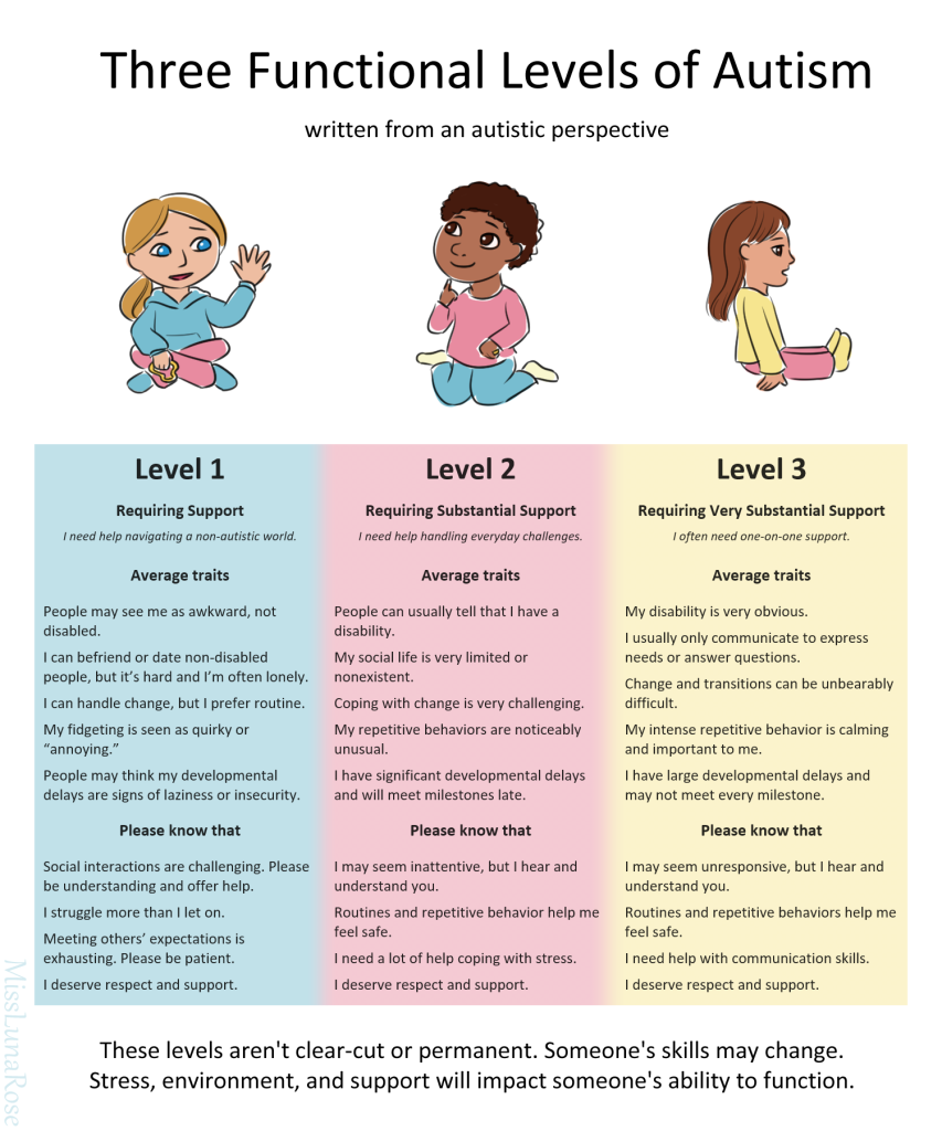 Infographic outlining Three Functional Levels of Autism